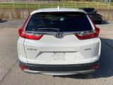 Used 2019 Honda CR-V EX-L image 4
