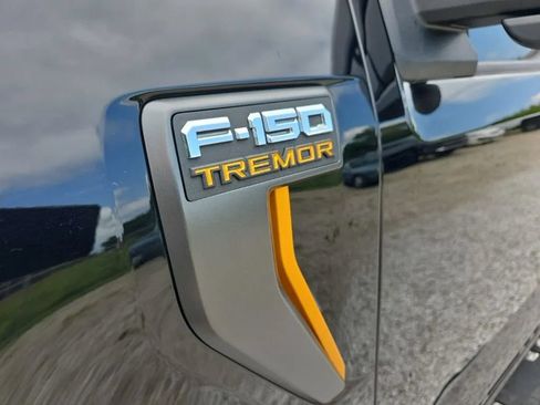Used 2021 Ford F150 Tremor w/ Equipment Group 401A Mid AWD/4WD image 9