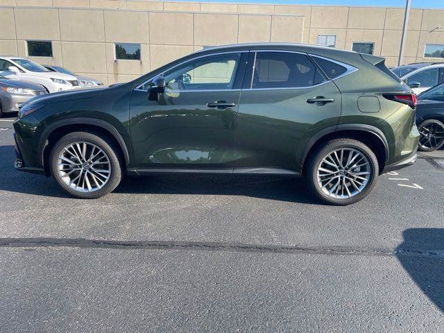 Certified 2025 Lexus NX 350h AWD w/ Cold Area Package image 3