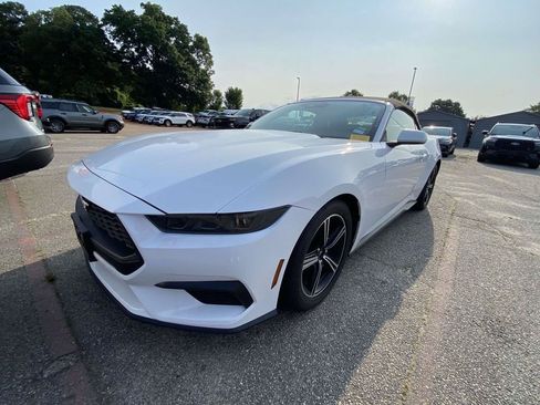 Used 2025 Ford Mustang Premium RWD image 2