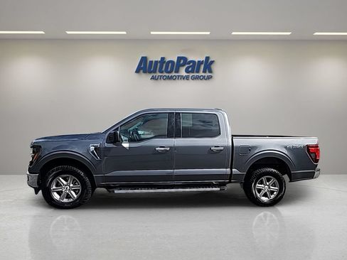 Used 2025 Ford F150 XLT w/ Equipment Group 301A Standard AWD/4WD image 4