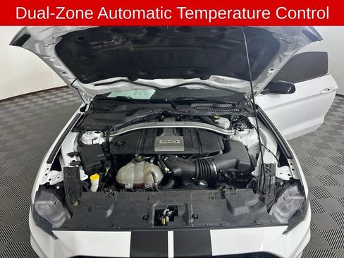 Used 2019 Ford Mustang GT w/ GT Performance Package RWD image 14
