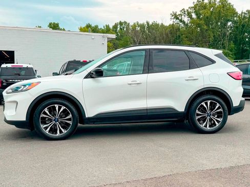 Used 2022 Ford Escape SEL w/ SEL Stealth AWD Package image 6