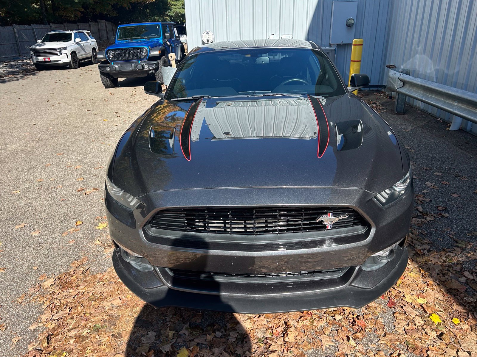Used 2017 Ford Mustang GT Premium w/ Equipment Group 401A RWD image 2