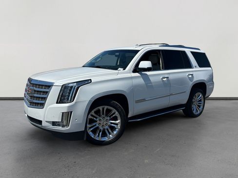 Used 2020 Cadillac Escalade Luxury w/ LPO, Radiant Package AWD/4WD image 1