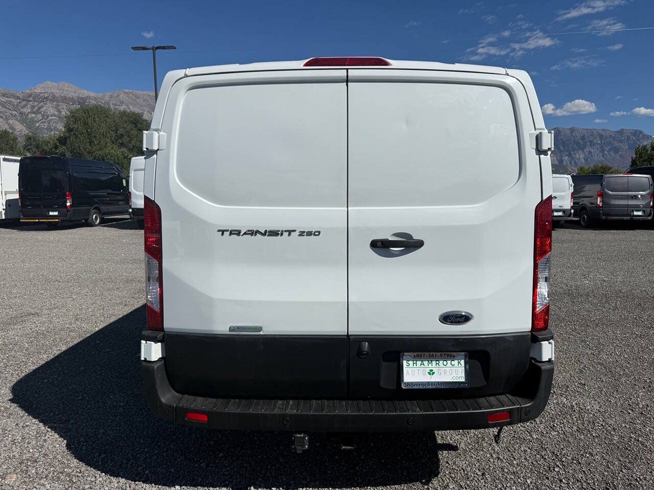 Used 2020 Ford Transit 250 Low Roof RWD image 4