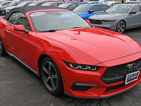 Used 2024 Ford Mustang Premium image 12