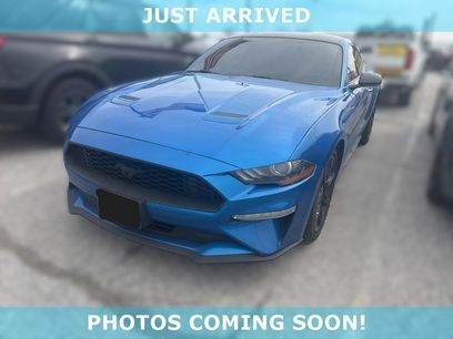 Used 2019 Ford Mustang Coupe w/ Equipment Group 101A