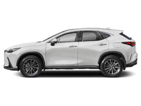 Used 2025 Lexus NX 350h AWD w/ Cold Area Package image 3