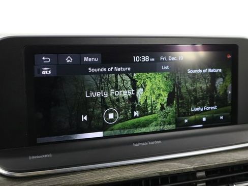 Used 2021 Kia Telluride SX image 38