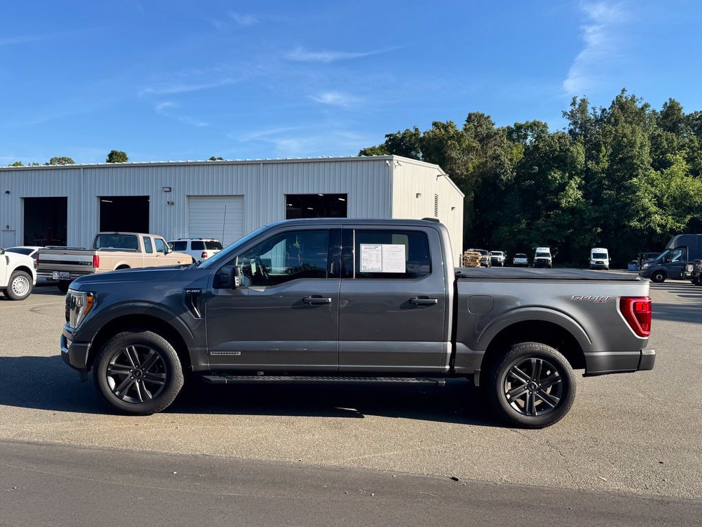 Used 2023 Ford F150 XLT w/ Equipment Group 302A High AWD/4WD image 3