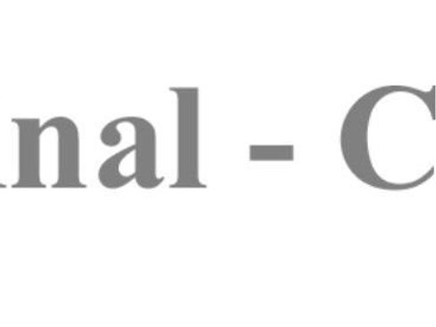 Used 2019 Toyota RAV4 XSE w/ XSE Weather Package image 2