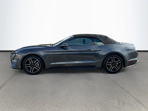 Used 2018 Ford Mustang Premium w/ Equipment Group 201A image 4