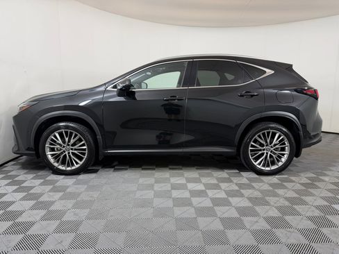 Used 2022 Lexus NX 350h AWD w/ Vision Package image 2