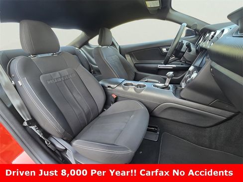 Used 2021 Ford Mustang Coupe w/ Equipment Group 101A image 3