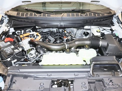 New 2025 Ford F150 Platinum w/ Equipment Group 702A High image 38