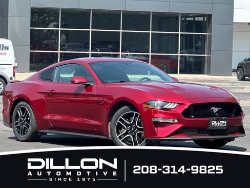 Used 2019 Ford Mustang GT w/ Equipment Group 301A RWD image 2