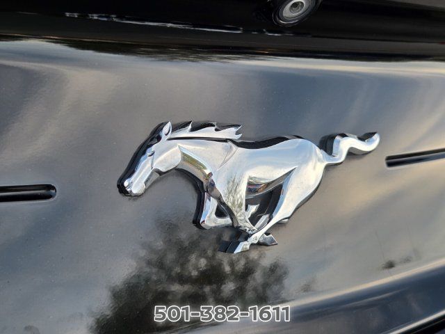 Used 2021 Ford Mustang Coupe RWD image 14