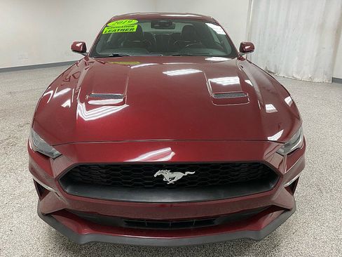 Used 2019 Ford Mustang Premium w/ Equipment Group 201A image 2