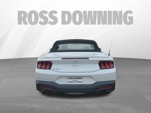 Used 2024 Ford Mustang Premium image 5