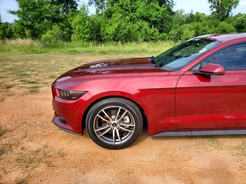 Used 2016 Ford Mustang Premium w/ Equipment Group 201A RWD image 2