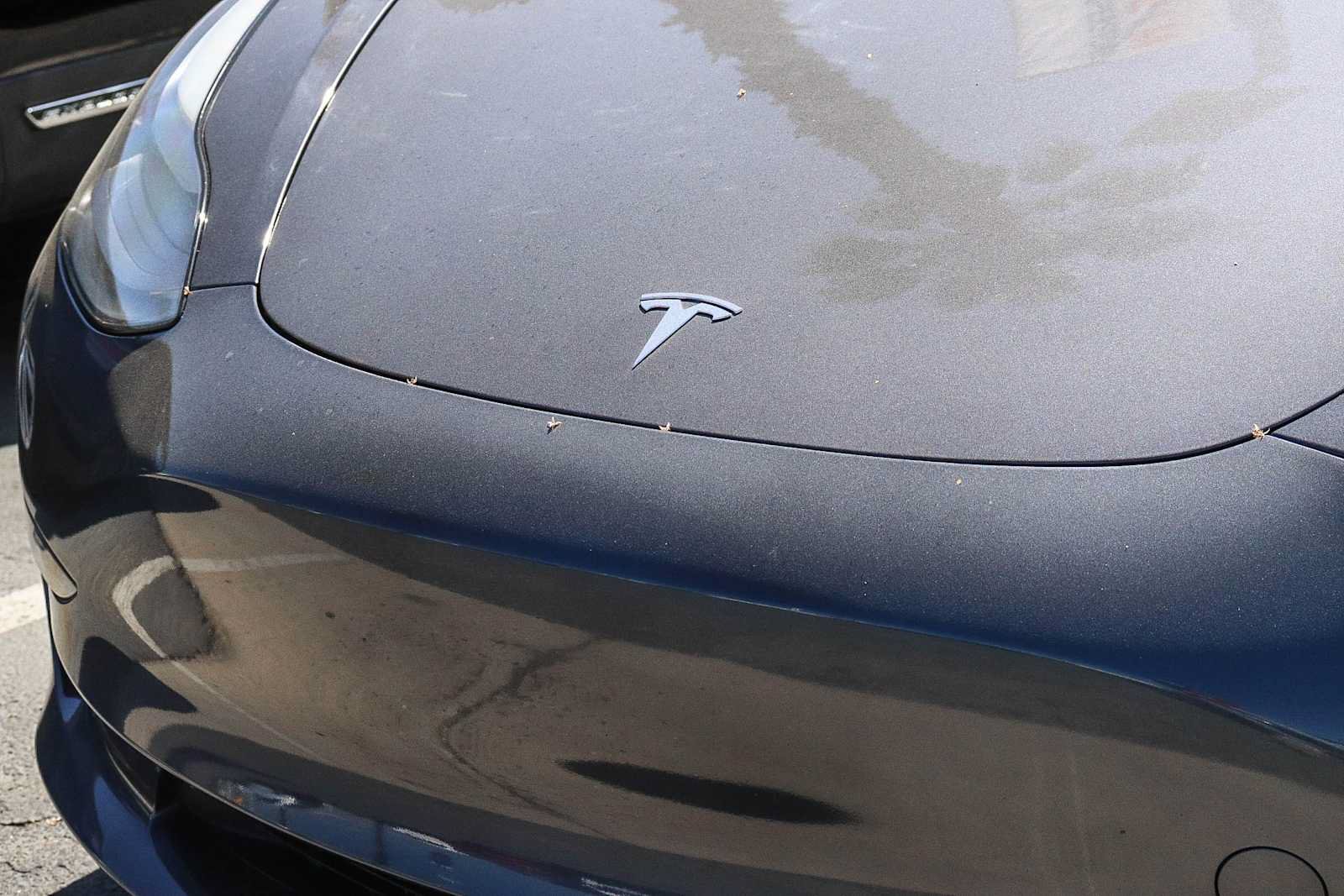 Used 2023 Tesla Model 3 Standard Range RWD image 3