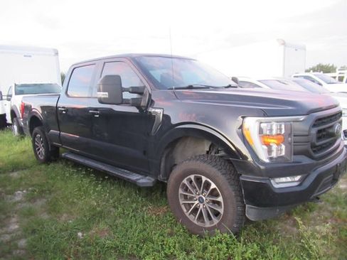 Used 2021 Ford F150 XLT w/ Equipment Group 302A High AWD/4WD image 1