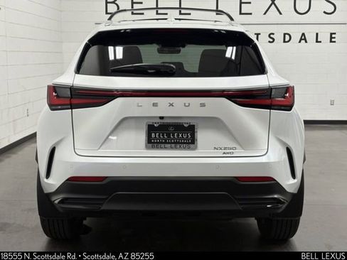 Used 2025 Lexus NX 250 AWD w/ Cold Area Package image 5
