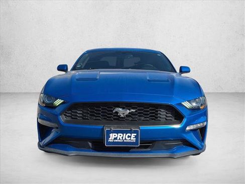 Used 2019 Ford Mustang Coupe w/ Equipment Group 101A RWD image 2