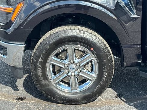 Used 2025 Ford F150 XLT w/ Equipment Group 301A Standard AWD/4WD image 24