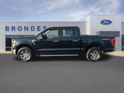 Used 2023 Ford F150 XLT w/ Equipment Group 302A High