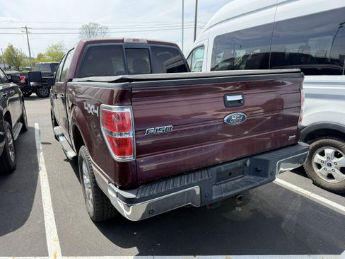 Used 2010 Ford F150 XLT AWD/4WD image 3