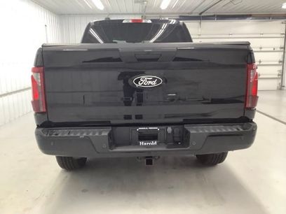 Used 2024 Ford F150 STX w/ STX Black Appearance Package
