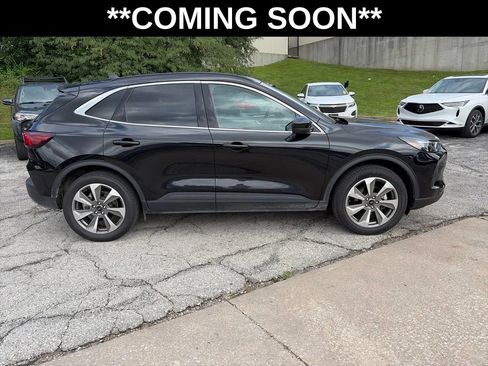 Used 2025 Ford Escape Platinum AWD/4WD image 4