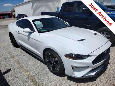 Used 2019 Ford Mustang Coupe image 3