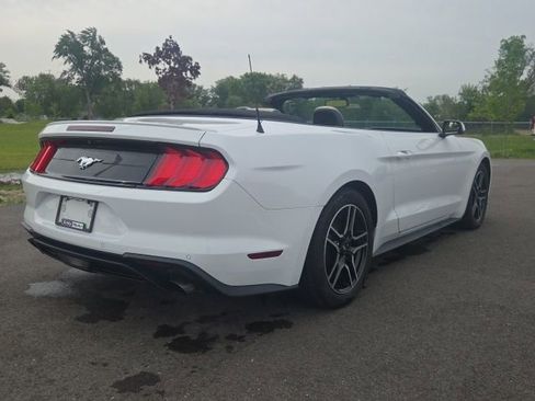 Used 2019 Ford Mustang Premium RWD image 13