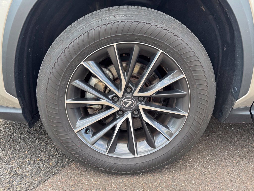 Used 2024 Lexus NX 350h AWD image 7