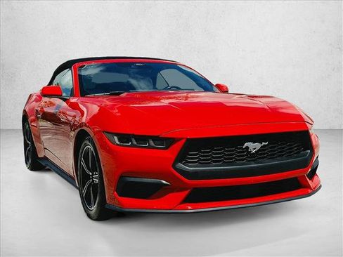 Used 2024 Ford Mustang Premium RWD image 3