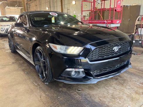 Used 2016 Ford Mustang Premium RWD image 1