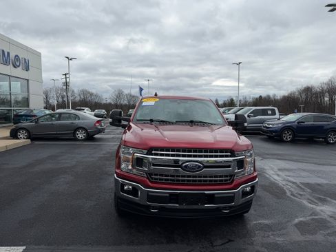 Used 2019 Ford F150 XLT w/ Equipment Group 302A Luxury image 3