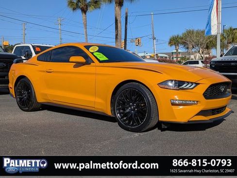 Used 2019 Ford Mustang EcoBoost w/ Equipment Group 101A image 1