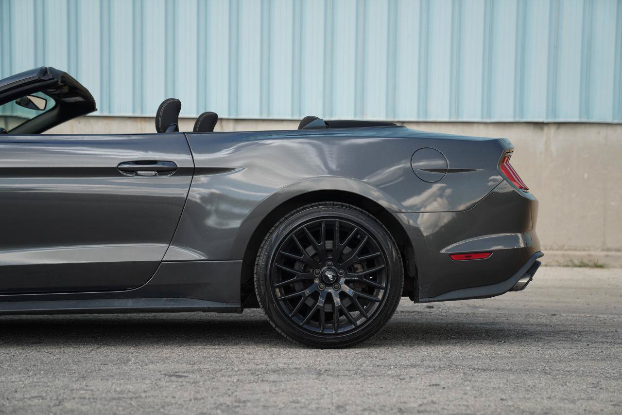 Used 2018 Ford Mustang Convertible w/ Ecoboost Performance Package RWD image 13