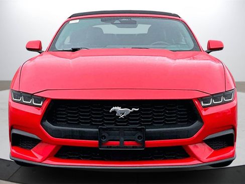 Used 2024 Ford Mustang Premium image 3