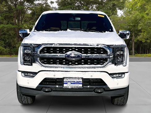 Certified 2021 Ford F150 Platinum w/ Equipment Group 701A High image 2