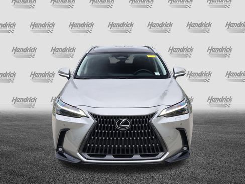 Used 2025 Lexus NX 350h AWD w/ Cold Area Package image 3