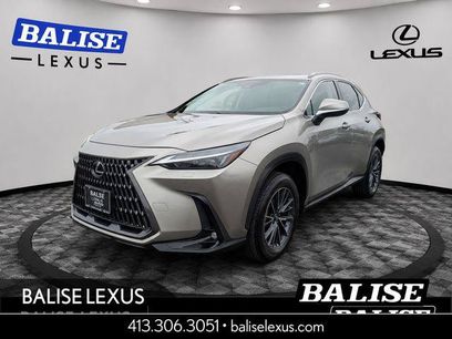 Certified 2025 Lexus NX 350 AWD w/ Cold Area Package