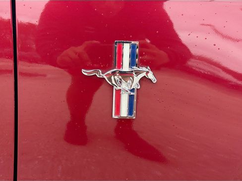 Used 2014 Ford Mustang Premium w/ Equipment Group 202A image 12