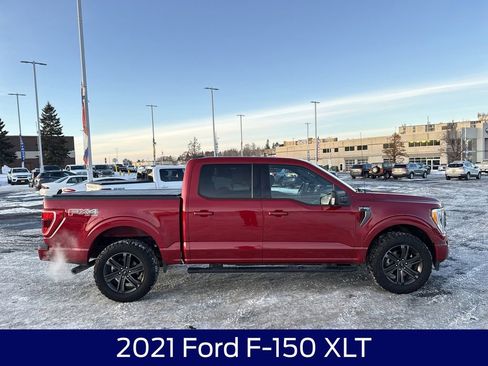 Used 2021 Ford F150 XLT w/ Equipment Group 302A High image 6