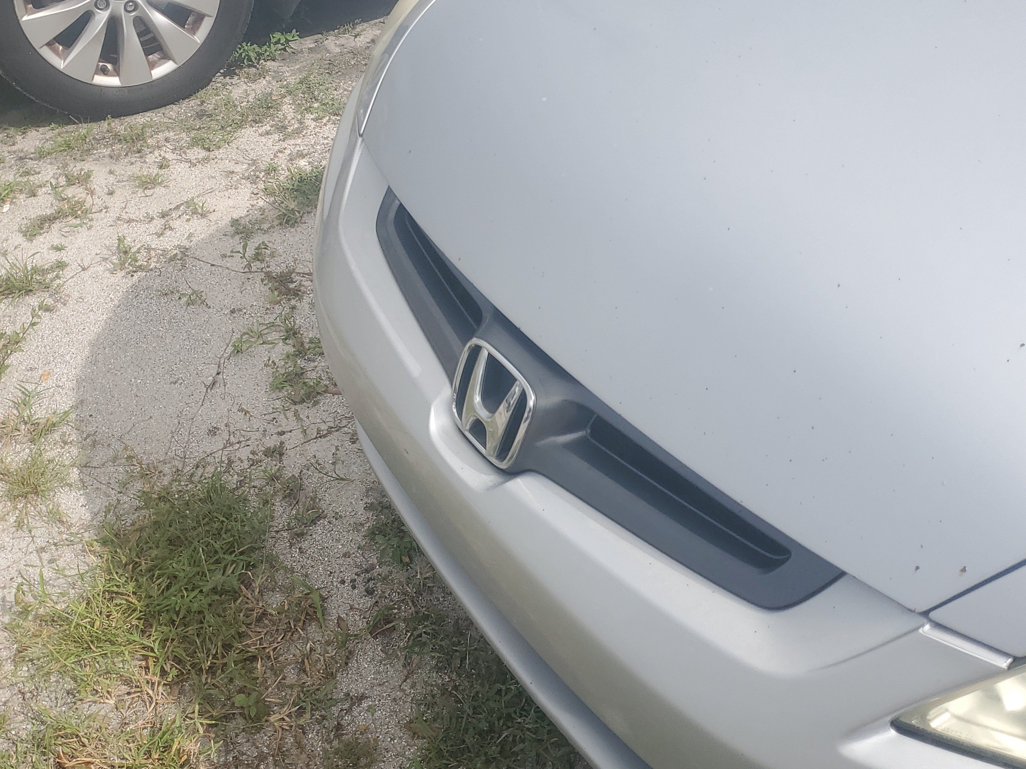Used 2005 Honda Accord EX-L image 10
