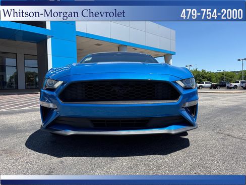 Used 2021 Ford Mustang Premium w/ Equipment Group 201A RWD image 2